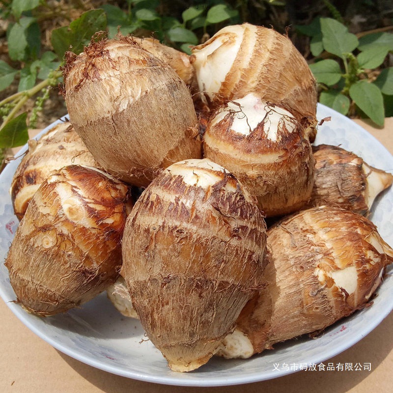 现挖芋头山东新鲜牛奶小芋头毛芋头香芋应季蔬菜芋头芋艿粉糯批发