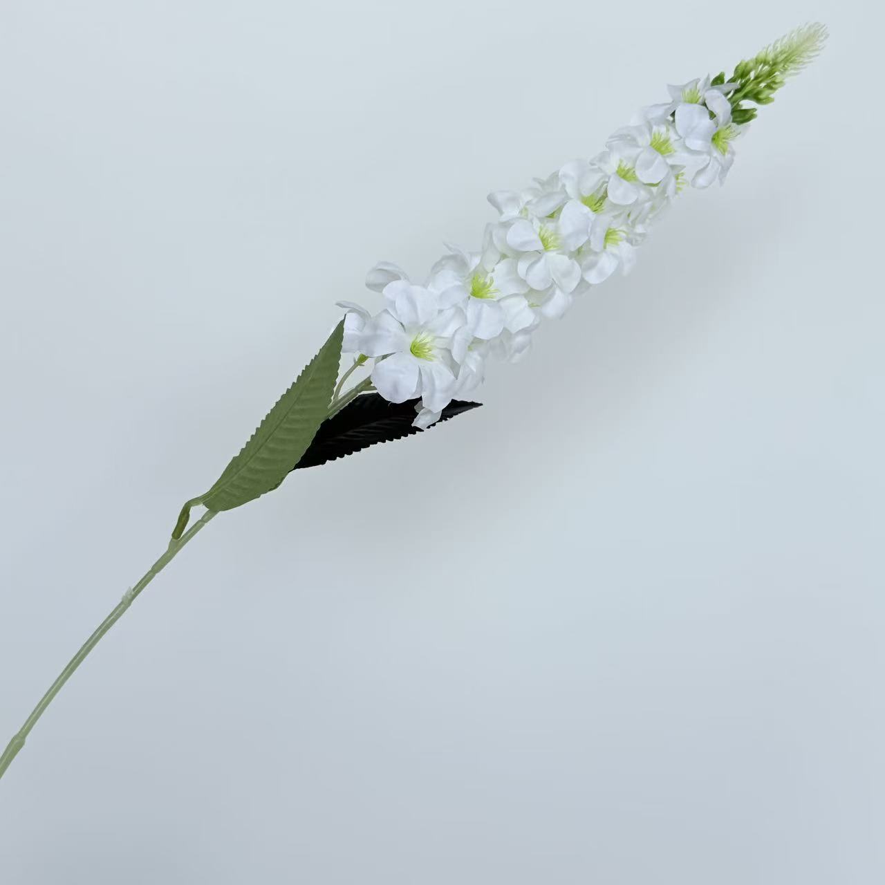 하얀색