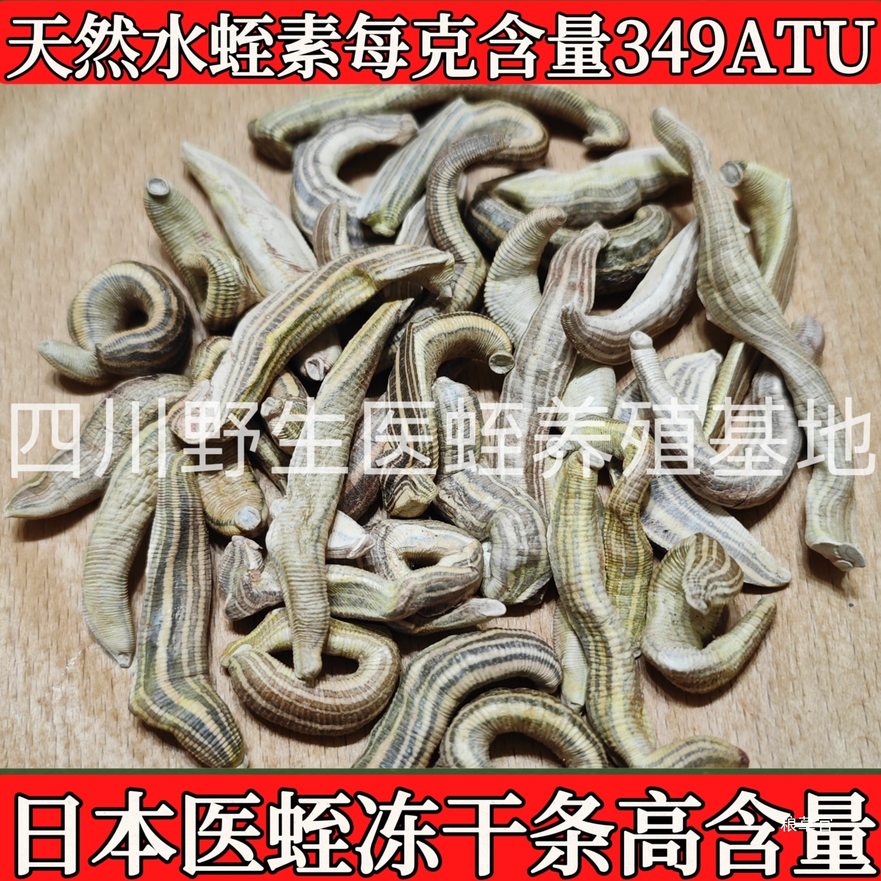 冻干水蛭清水蚂蝗吸血小水蛭素日本医蛭冻干粉胶囊好货真