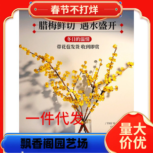 һ�����l�r�л��D÷�r��֦�lˮ�B����ֲ���҃Ⱥ��B�ѻ��һ�÷ˮ��