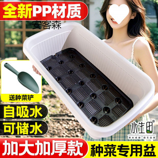 �Ԅ���ˮ�̨�N������˼Ӻ�����ش�̖�҃�ݮ�L���ηN�ˌ�����