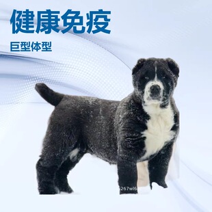 ���N�Ё�����Ȯ��Ȯ���w����С��������Ё����o�lȮ����Ȯ����