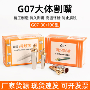 Propane cutting nozzle gas cutting nozzle oxygen cutting nozzle liquefied gas/gas stainless steel plum blossom cutting nozzle G07-30/100 type