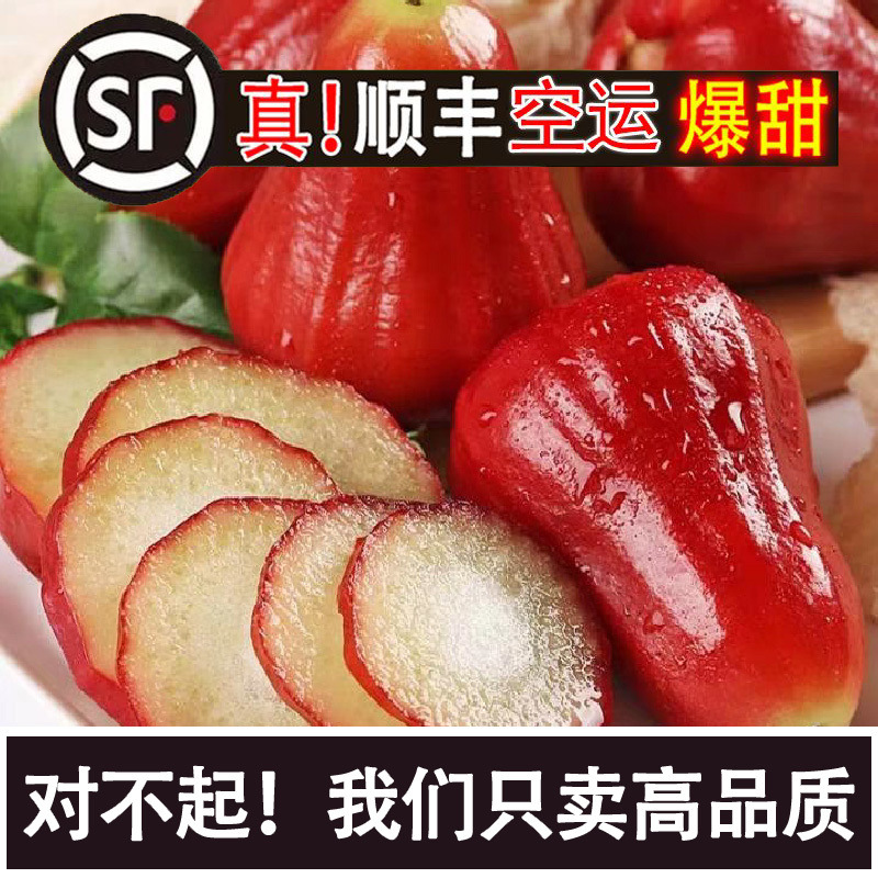 [SF Air Express] Authentic Hainan Fresh Black Diamond Wax Apple Seasonal Mountain Fresh Picked Fairy Fruit Large Fruit Gift Box