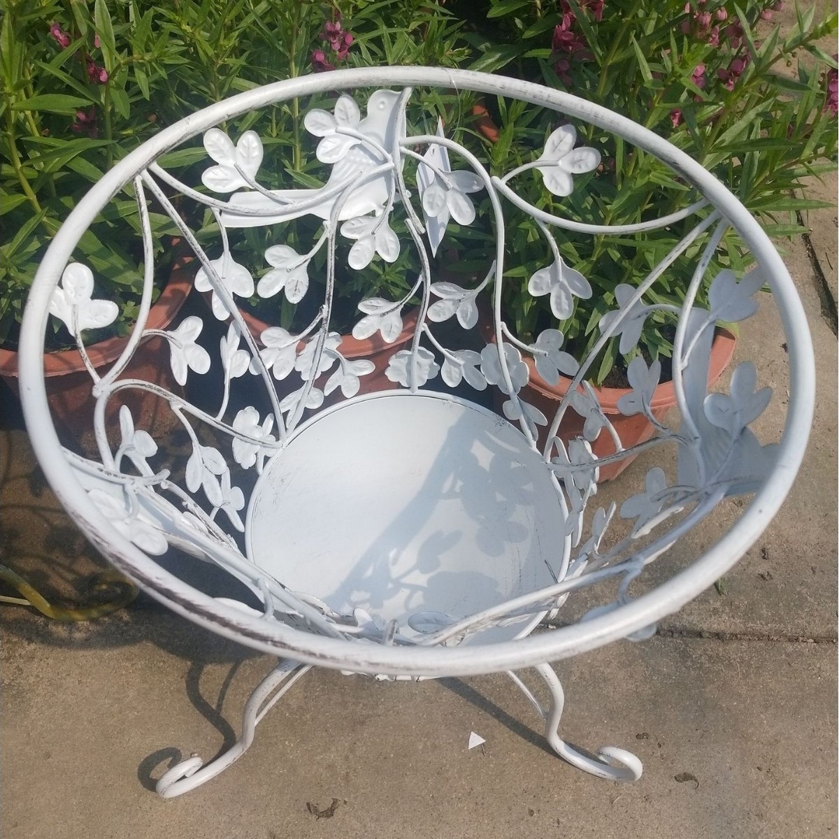 흰색과 오래된.