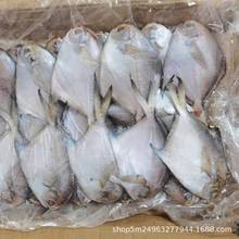 批发深海银鲳鱼 板冻白鲳鱼 海捕海鲳鱼 自助餐烧烤食材