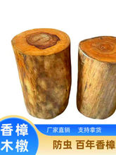 ?ľ՘յӌľӸԭľ䘶ľײAľ