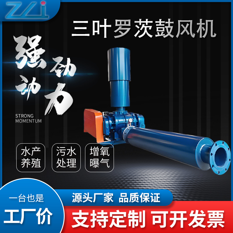 DN50/65/80/100三叶罗茨鼓风机高压增氧机备曝气输送风机污水处理