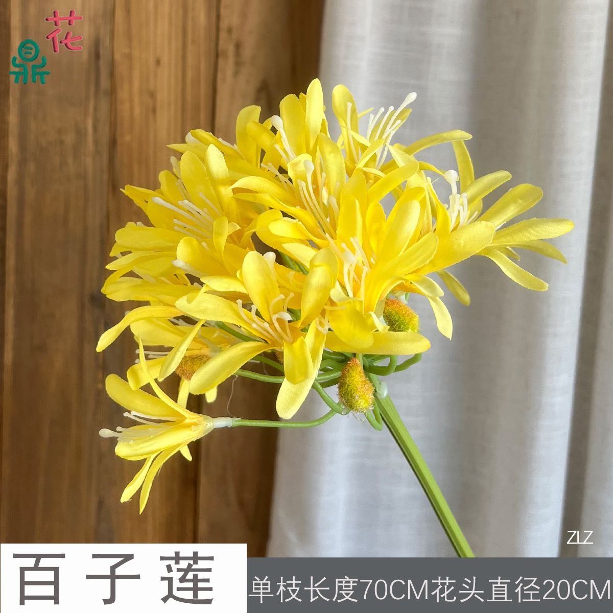 아가판투스 ZLZ 옐로우