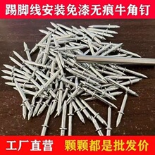 �o������_�����Ì�ľ�p�^�p�����ᔸߏ����׹̶�ᔷ���ţ���