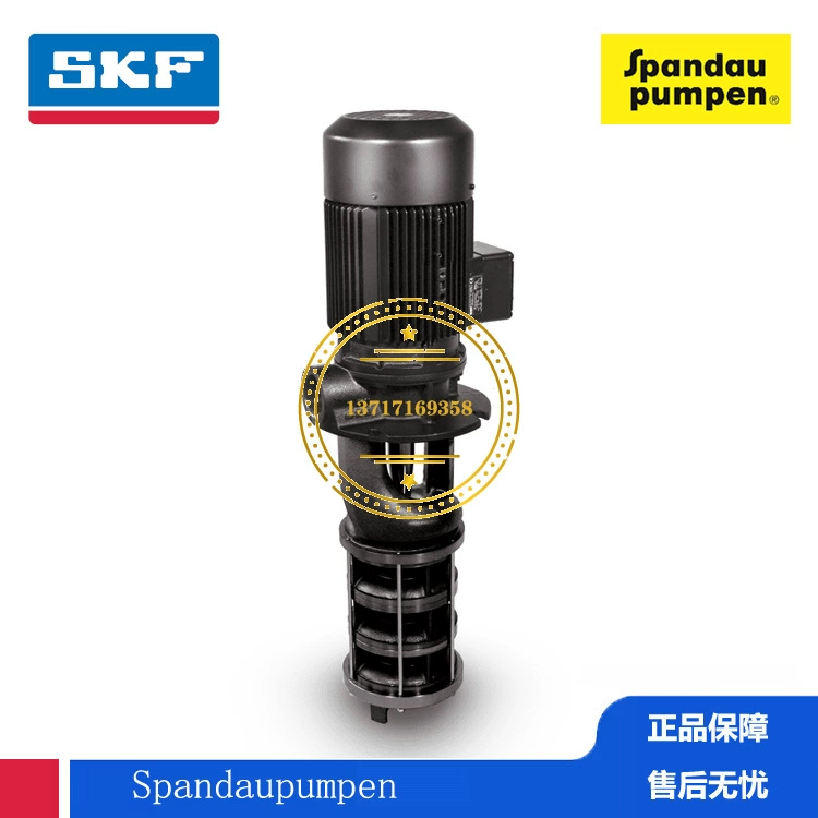 Spandau Pumpen Центробежный насос PSL3123A25090S MIN Fabr.-Nr. 0000840315