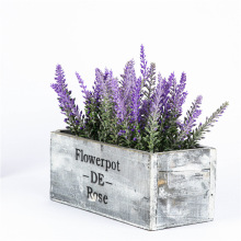 ���挍ľƴ�Pľ�ж���ֲ����޹�²����b�پGֲ�͏d�͏d  �����b�