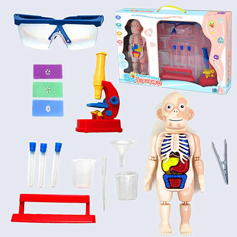 Nuevos niños Qizhi órgano humano modelo STEM ciencia y educación juguete DIY microscopio experimento científico traje