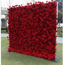 ������ܶȴ��r������c�c�仨�@�ɻ��廨�������r������K