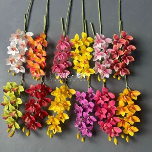 ����3D��ӡ7�^ޥ�m����c�b�����ʽ�����廨ӆ����DIY��ˇ�[��