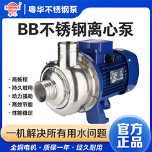 粤华牌BB250/055-300/150/500-300-P不锈钢离心泵水循环泵水泵