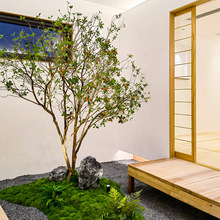 ��Ʒ���u��������Gֲ�҃��b��쾰��ؔ[������ֲ����ʽ���Ҿ��^