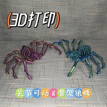3D打印地狱骨架狼蛛关节可活动蜘蛛动物仿真模型儿童玩具摆件礼物
