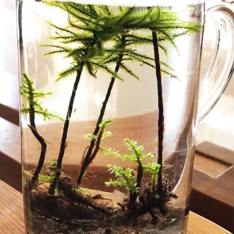 3482e9ff-2b64-4118-b195-8e195e6bca86.jpe