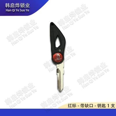 Yi 500 Key Embryo Folding – Motorcycle Key