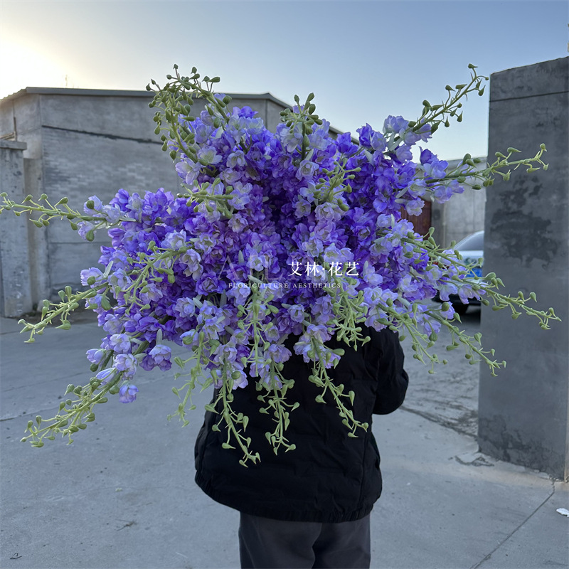 Extra large delphinium