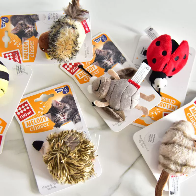 Вы попугай, питомец, кошка, игрушка, воробей, птица, молодой ослепительный, добыча, звук для облегчения скуки, мышь, жук