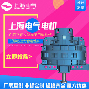 �Ϻ�늚⼯�F�Ϻ�늙C�S늙CYL����ʽ���ͮ���늙C315kW-3100kW