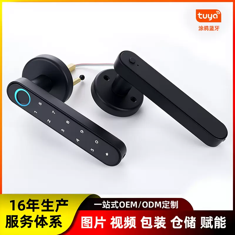 球形密码锁涂鸦智能锁家用电子锁半自动办公寓锁一握开木门指纹锁