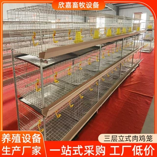 大型鸡场养殖场肉鸡笼设备立式低碳钢丝加厚层叠养鸡笼多规格定制