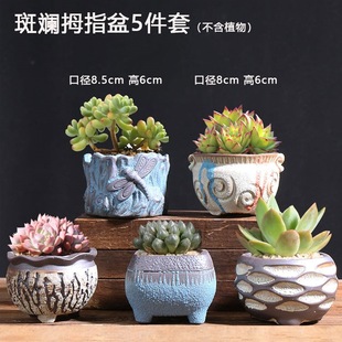 ���⻨��S��ֱ�N�����С������ô�ڏ��ظ������մ���