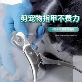 源头工厂宠物美容剪泰迪比熊修甲神器不锈钢加厚弯剪美容院专用钳