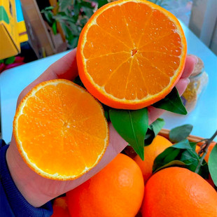 �ɶ��ۋ�38�����ȹ��� �Ĵ��ۋ�38���������F�ݐۋ�38 ��ϐۋ�38