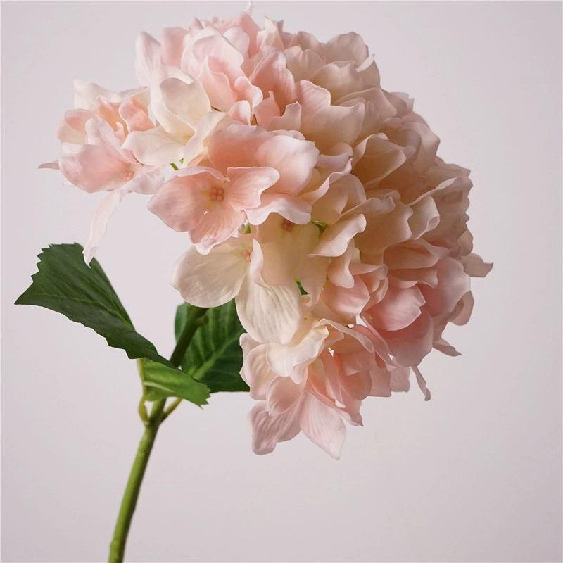 High-quality feel Beibei hydrangea simulation feel moisturizing hydrangea indoor and outdoor decoration simulation wholesale