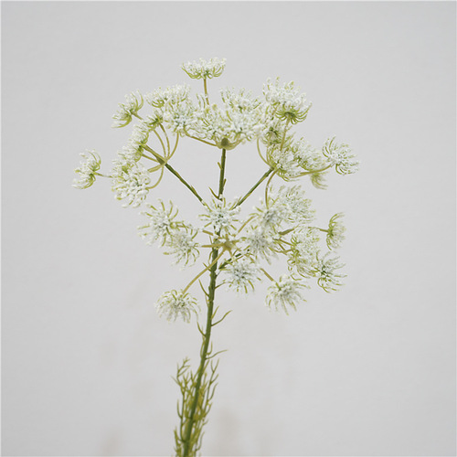 Manufacturer of artificial flowers, lace, floral landscaping decoration, fake flowers, home aesthetics, space display, photography props