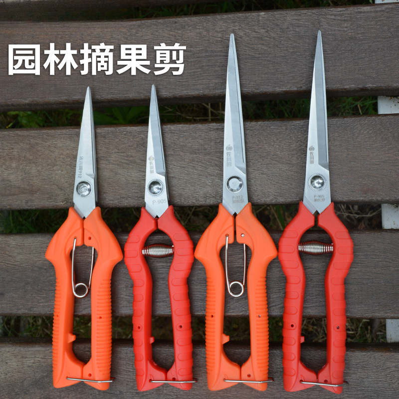 田园艺修剪枝采果剪摘果剪花椒剪枸杞采摘工具果蔬剪刀花剪