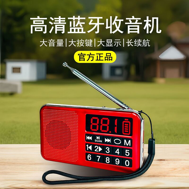 大学4・6級リスニング Bluetoothヘッドセット ラジオ FMヘッドセット 大学4・6級試験専用リスニングヘッドセット|undefined