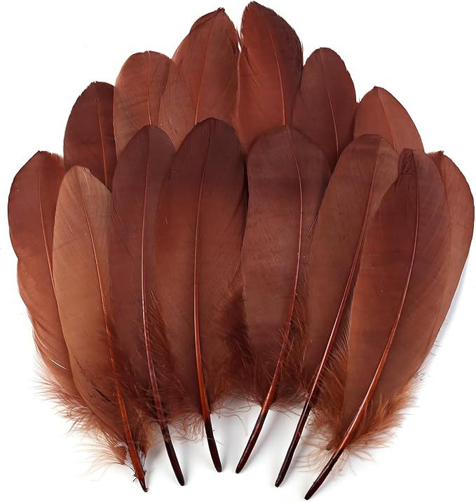 Fabricantes lotes plumas de ganso blanco natural plumas DIY artesanías accesorios de ropa de boda accesorios de decoración artesanal image 11