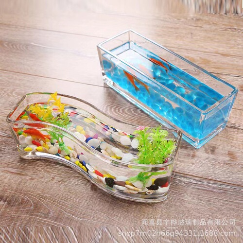 Hydroponic plants glass bottle square cylinder simple vase transparent green radish water lily copper money grass water culture flower pot utensils ornaments