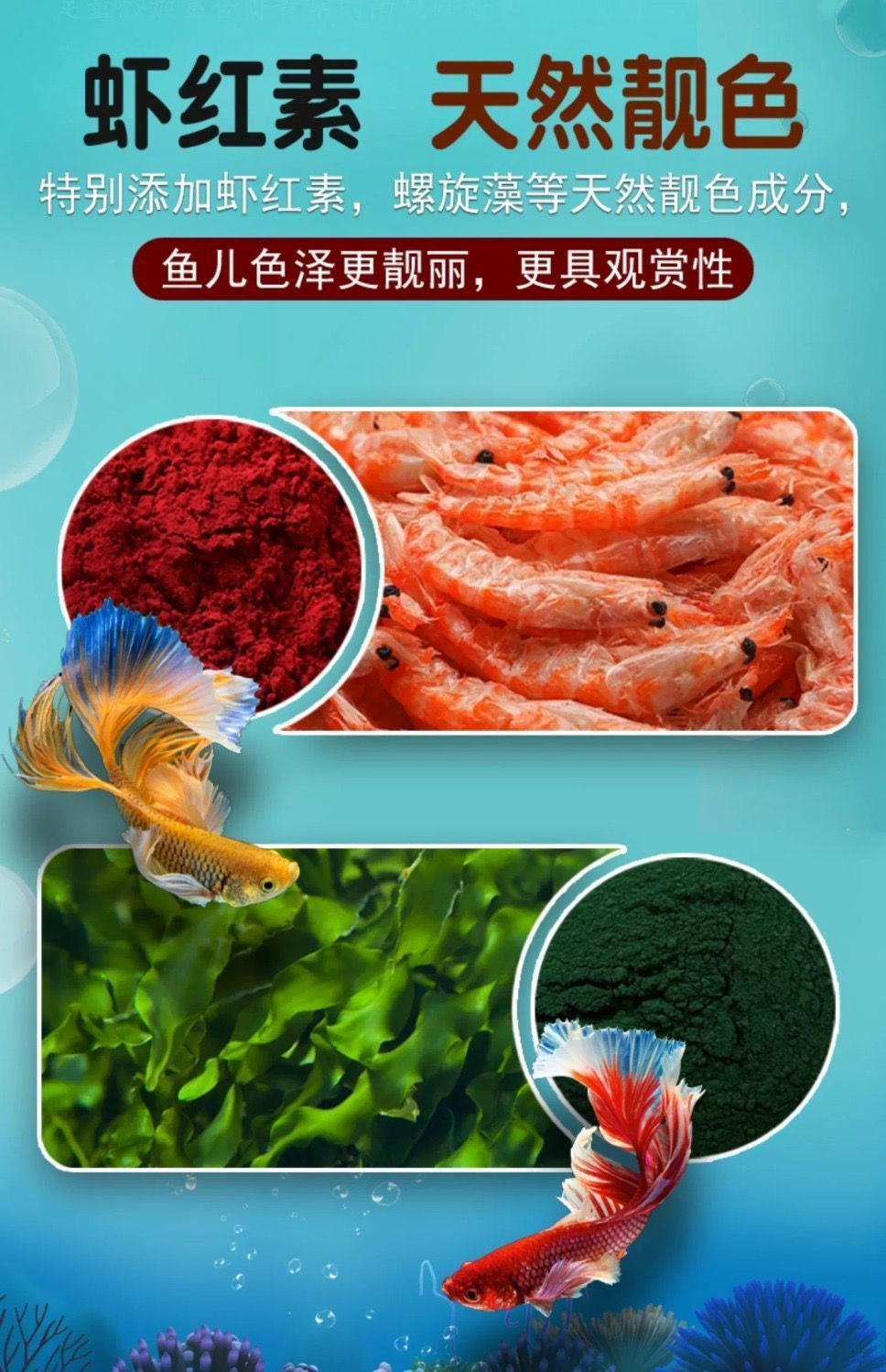 dfd96234-075a-4e27-a6ae-d1e5a5025a1c.jpe