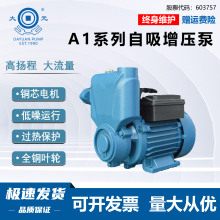大元自吸泵家用管道自来水增压泵冷热水小型抽水泵220v抽水机WZB