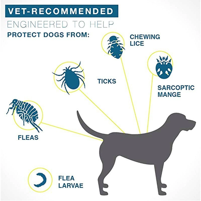 Pet Mosquito-Repellent Collar, Essential Oil Formula, Sizes 39 cm (cat) & 63 cm (dog)