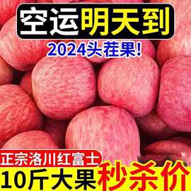 苹果2024新陕西洛川红富士当季新鲜冰糖心脆甜大水批发一整箱代发