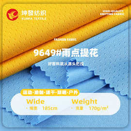 提花雨点布全涤速干网眼吸湿排汗T恤运动广告衫球服印花针织面料