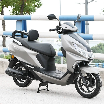 Motorcycle tail,24.999999999% off Folding Backrest for