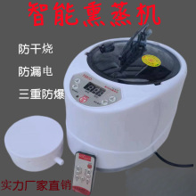 熏蒸机蒸汽熏蒸仪熏蒸器薰熏蒸锅汗蒸汽机蒸锅蒸煲药泡脚浴箱家用