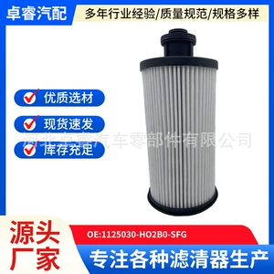 Source Manufacturer Spot Supply Car Filter 1125030-Ho2B0-Sfg Tianlong Flagship Cannon Filter Element