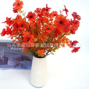 ���R�d�＾����ֲ������ٻ�7���ȼ�����ɫ���_�m�Ҿ����ϻ��b�
