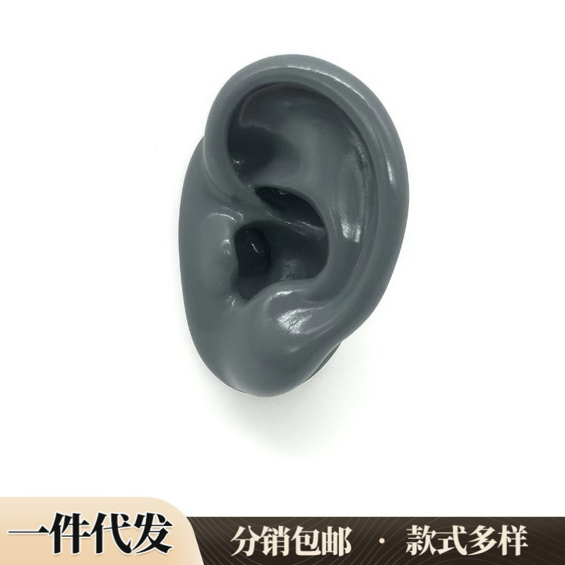 Silicone Ear Model Ear Simulation Hearing Aid Medical Teaching Prop Earphone Display Prop Realistic Ear Model Silicone Ear Model Ear Simulation Hearing Aid Medical Teaching Prop Earphone Display Prop Realistic Ear Model