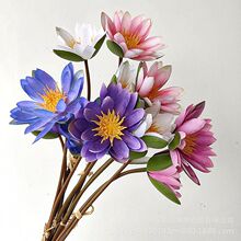 ����˯ɏ��Y���üٻ��Ҿ��b廨��ˇ˯ɏDIY����c�zӰ����