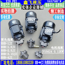 RHB-1JZ 1.6JZ 2.5JZ 3.15JZ 4JZ三角泵电机组 润滑油泵浦YS5624
